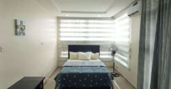 Furnished 3 Bedroom Terrace Duplex with Bq